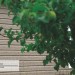 Сайдинг Ю-Пласт TIMBERBLOCK Пихта (Тимберблок) Cахалинская купить в Туране