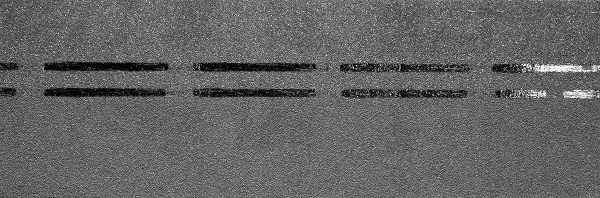 Коньково-карнизная черепица Docke Premium, черника купить в Туране