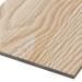 Фиброцементные панели FCSPRO Decor Wood Лиственница купить в Туране